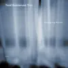 Tord Gustavsen Trio - Changing Places