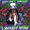 Lando 1804 & Wawa Paswa - I Want You Badly - Single